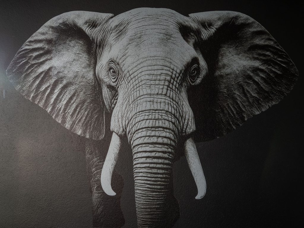 Kreativer Wandruck mittels professionellem Wanddrucker